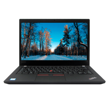 Lenovo ThinkPad T490