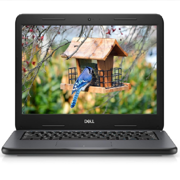 DELL Latitude 3300